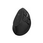 Souris Natec NMY-2291 Noir 4000 dpi