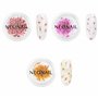 NEONAIL Fleurs Séchées - Set de décoration d'ongles - Nail Art Ongles - Deco Ongle Nail Art - Accessoire Ongle - 3 couleurs - ro