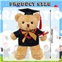 Ours avec Chapeau de Graduations et Vêtements de Diplôme