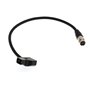 B4 ENG Câble d'alimentation Servo D-Tap vers Hirose 12 broches pour Fujinon Nikon Canon Angenieux Schneider Lens Servo 30 cm