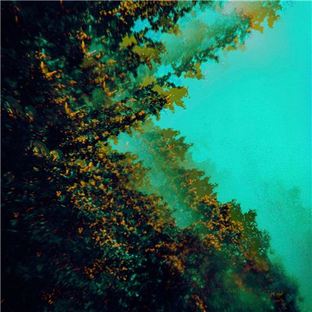 Caterpillars of Creation LP]