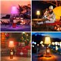 Lampe de Table Sans Fil, Lampe de Bouteille Rechargeable,Lampes de Chevet Luminosité Réglable 3 Températures de Couleur&RGB,Touc