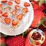déshydrateur sans BPA pour aliments