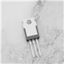Be In Your Mind 10pcs IRLB8721 MOSFET Transistor N-canal ESD Évalué TO-220 62A 30V 3Pin Puissance de Redresseur International po