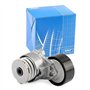 SKF VKM 36055 Kit de galet enrouleur multi-V