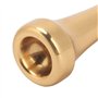 Embouchure de Trompette 3C 7C, Matériau en Laiton doré, Coffret Cadeau pour les Amateurs et les Débutants, adapté aux étudiants,