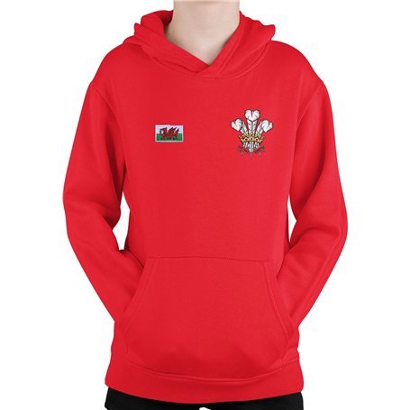 Super Lemon Sweat à capuche Pays de Galles pour enfants Cymru Rugby Exclusif Rétro Vintage Garçons Filles Unisexe Rouge Idéal po