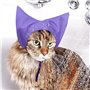 Zeizafa Bonnet de bain imperméable pour chats de différentes tailles - Confortable - Protection des oreilles pour animaux domest