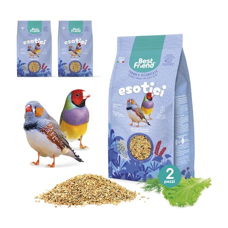 Best Friend Aliment Complet pour Oiseaux Exotiques avec graines de chicorée