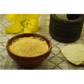 Lotus Homme Analogique Quartz Montre avec Bracelet en Acier Inoxydable 18758/1