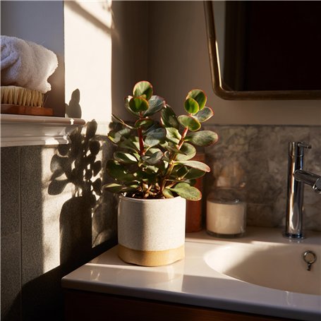 Excite Gel lubrifiant intime à base d'eau parfumé à la fraise