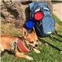 Mangeoire portable en silicone pour animaux domestiques, bol de voyage pour chien, bol pliable pour animal de compagnie