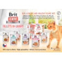 Aliments humides pour Chats VAFO PRAHA s.r.o. Brit Care COT SASZ.85G FG stérilisé Le lapin/24