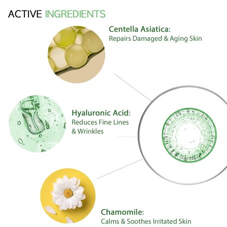 ABAKUHAUS Plante Lot de Sets de Table en 8 pièces