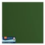 Florence Papier Cartonné Vert Lisse - 30,5 x 30,5 cm - Pine - 20 feuilles - 216 g/m² - Papier pour Scrapbooking, Carterie, Perfo