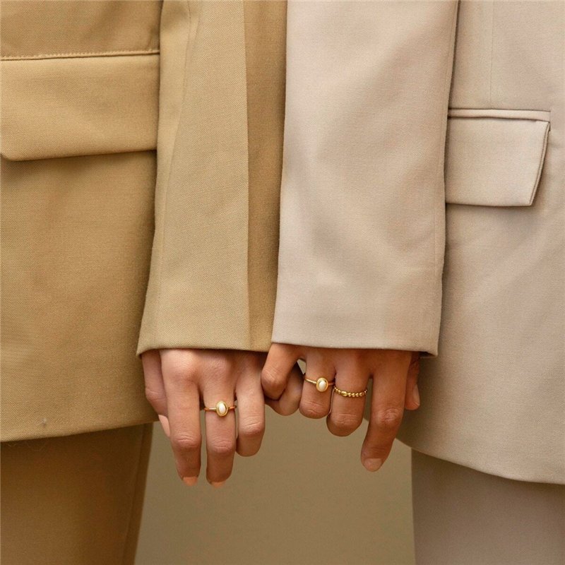 Sonnette sans Fil ELRO DB3000 avec 2 Récepteurs Plug-in