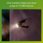 Philips Ashlyn Spot/Applique Solaire d’Extérieur, 2700 K, 150 lm, Noir