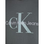 Calvin Klein Jeans Homme Sweat à Capuche Seasonal Monologo Regular avec Capuche, Gris (Endless Grey), XXS