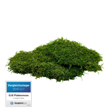 GJS Lot de 200 Feuilles de Mousse Plate 100g/200g/500g - Tapis Durable Préservé pour Travaux Manuels et Décoration (200)