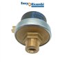 Easyricambi - Pressostat pour Pompe à Eau XP110, Pressostat pour Autoclave avec Capteur de Pression d’Eau Réglable par Vis de 2