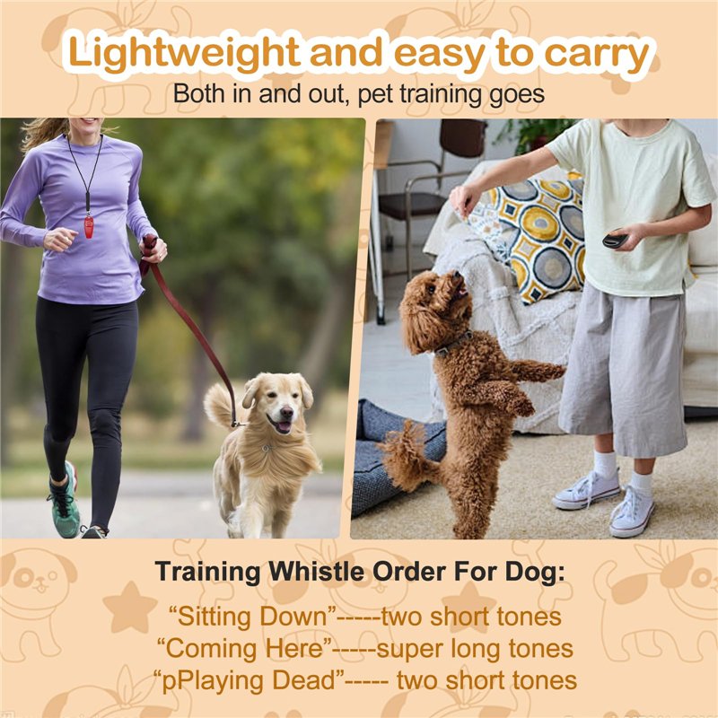 Monture de Lunettes Unisexe Andy Wolf 4535 54C