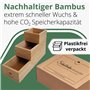 DeinKaufladen.com Lot de 8 boîtes de rangement en bois pour armoire de salle de bain - Boîte de rangement en bois - Boîte de ran