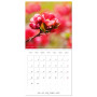 Arbres et arbustes la floraison (Calendrier mural carré 2026, 30 x 60 cm (ouvert)) Calendrier double avec une page pour vos pris
