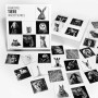 Fotografenverlag Tiere Animaux – Jeu de mémoire