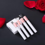 4 PCS Rouge à Lèvres,Set Rouge À Lèvres Mat,Mat Velours,Imperméable Longue Durée,Maquillage pour les lèvres longue durée pour et