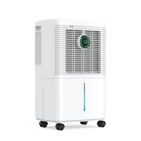 Innvitop Deshumidificateur d Air Electrique 16L/Jour Con Display d’Humidité, 3 Modes, Déshumidificateur Maison ave Mode Séchage 