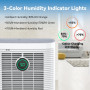 Innvitop Deshumidificateur d Air Electrique 16L/Jour Con Display d’Humidité, 3 Modes, Déshumidificateur Maison ave Mode Séchage 