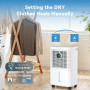 Innvitop Deshumidificateur d Air Electrique 16L/Jour Con Display d’Humidité, 3 Modes, Déshumidificateur Maison ave Mode Séchage 