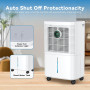 Innvitop Deshumidificateur d Air Electrique 16L/Jour Con Display d’Humidité, 3 Modes, Déshumidificateur Maison ave Mode Séchage 