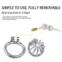 BDSMJOY Cages de Chasteté Acier inoxydable, Pénis Sex toys jouet sexualité couple Sextoy homme, Cage de chasteté respirante Pour