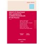 Droit et pratique des audiences correctionnelles et de police 2024/2025 4ed