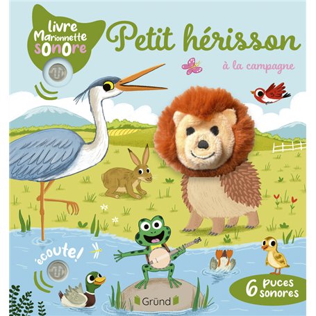 Petit hérisson à la campagne