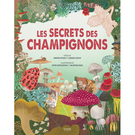 Le Secret des champignons