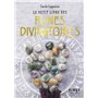 Le Petit livre des runes divinatoires