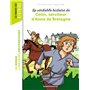 La véritable histoire de Colin, serviteur d'Anne de Bretagne 7,05 €