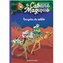 La cabane magique, Tome 29 6,75 €