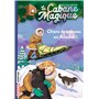 La cabane magique, Tome 49 6,75 €