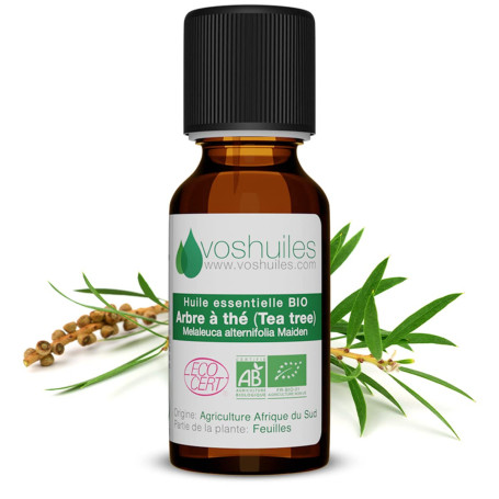 VOSHUILES - Huile Essentielle Arbre à Thé BIO 125ml - Parfum Citronné- Boisé - 100% Pure et Naturelle - HEBBD et ECOCERT - Nombr