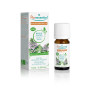 Puressentiel - Huile Essentielle Menthe Poivrée - Bio - 100% pure et naturelle - HEBBD - 10 ml