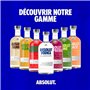 Absolut - Original Vodka Suédoise - 40,0% Vol. - 100cl