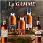 Aberlour - 10 ans - Whisky Ecossais Single Malt - 40,0% Vol. - 70cl avec etui