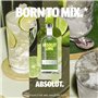 Absolut - Lime - Vodka aromatisée - 40,0% Vol. - 70cl