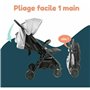 Poussette pour bébé Bambisol Gris