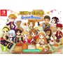 Jeu vidéo pour Switch Just For Games Story of Seasons Grand Bazaar : Limited Edition