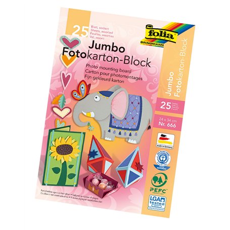FOLIA Le bloc de carton photo Jumbo