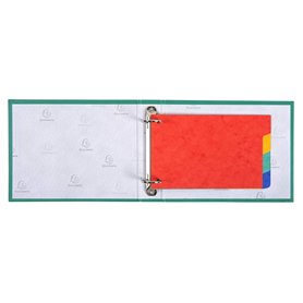 Exacompta - Réf. 604E - Paquet de 10 intercalaires pour fiches bristol en vértiable carte lustrée souple 225g/m2 FSC® avec 4 ong Exacompta - Réf. 604E - Paquet de 10 intercalaires pour fiches bristol en vértiable carte lustrée souple 225g/m2 FSC® avec 4 ong